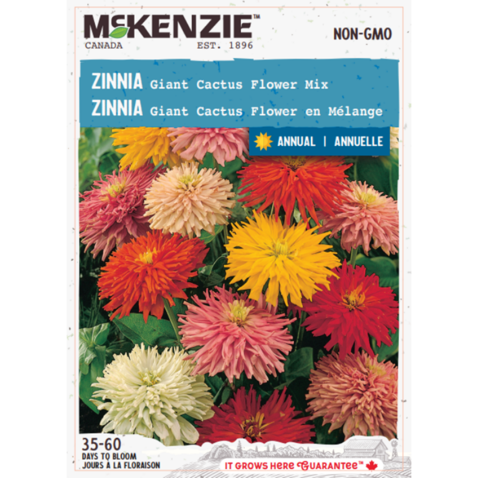 MK 2.49 F Zinnia Giant Cactus Flower Mix
