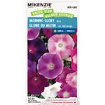 Morning Glory Mix Value Size