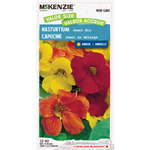 Nasturtium Jewel Mix Value Size