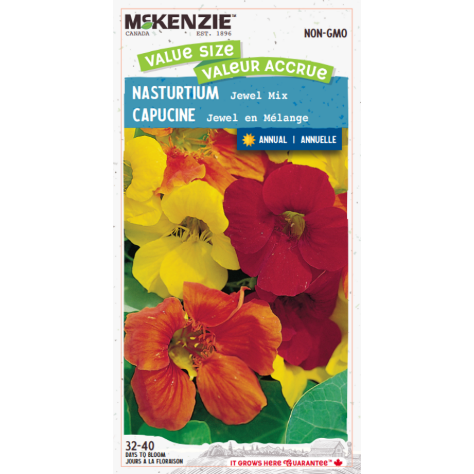 MK 3.99 VS Nasturtium Jewel Mix Value Size