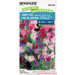 Sweet Pea Spencer Giant Mix Value Size