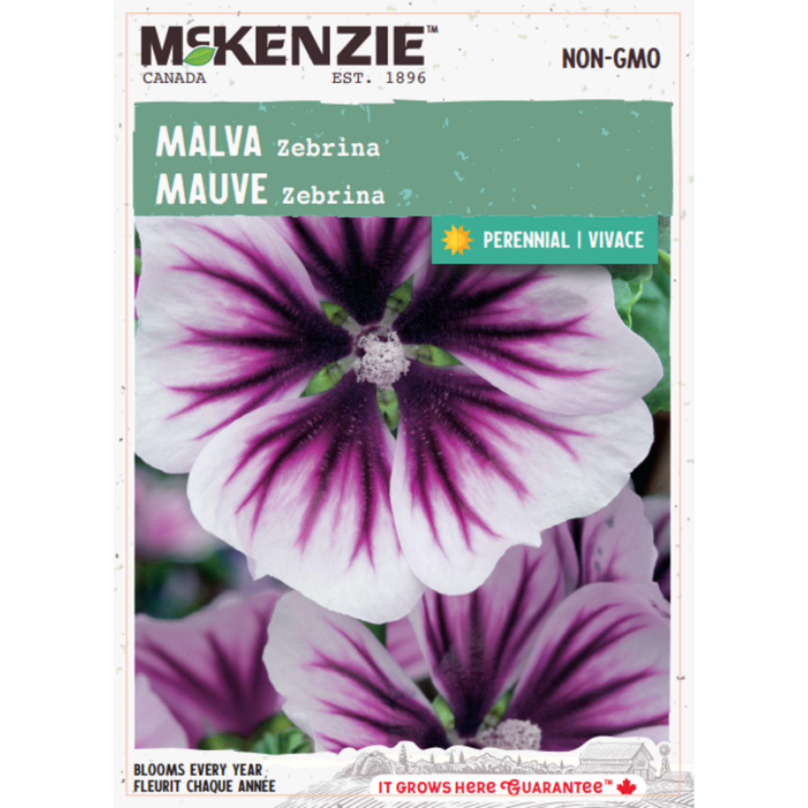 MK 2.79 F Malva Zebrina