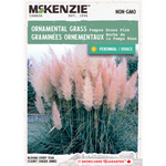 Pampas Grass Pink Ornamental Grass