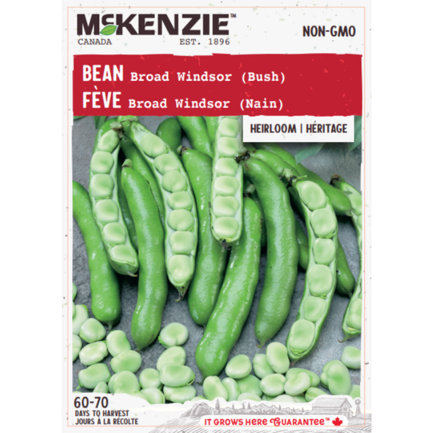 MK 2.49 V Bean Broad Windsor