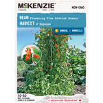 Bean Flowering Vine Scarlet Runner