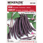 Bean Pole Trionfo Violetta