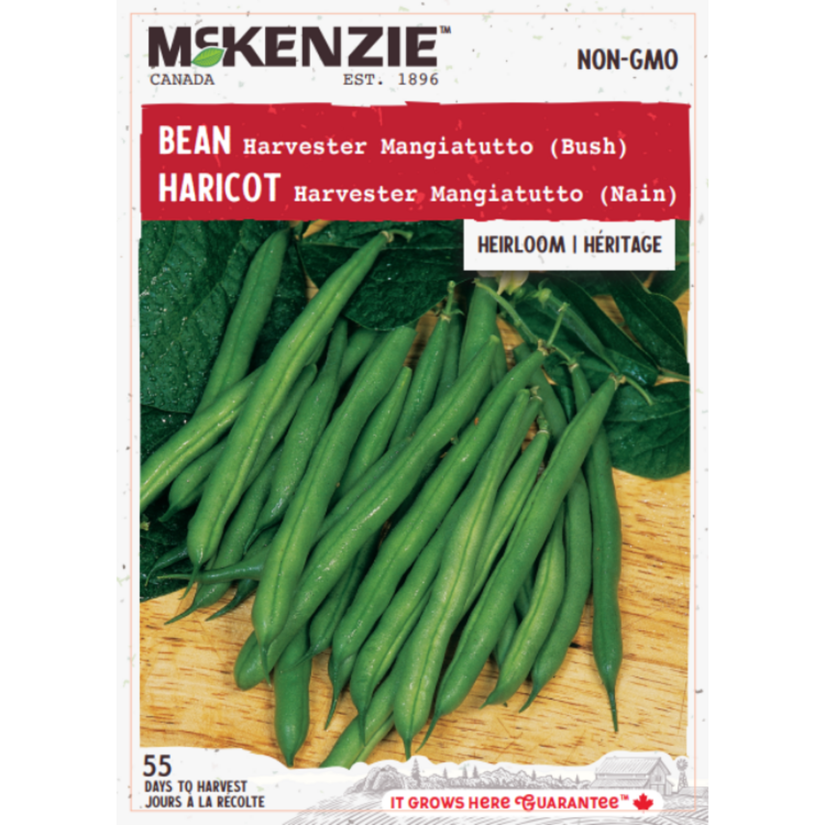 MK 2.49 V Bean Harvester Mangiatutto (Bush)