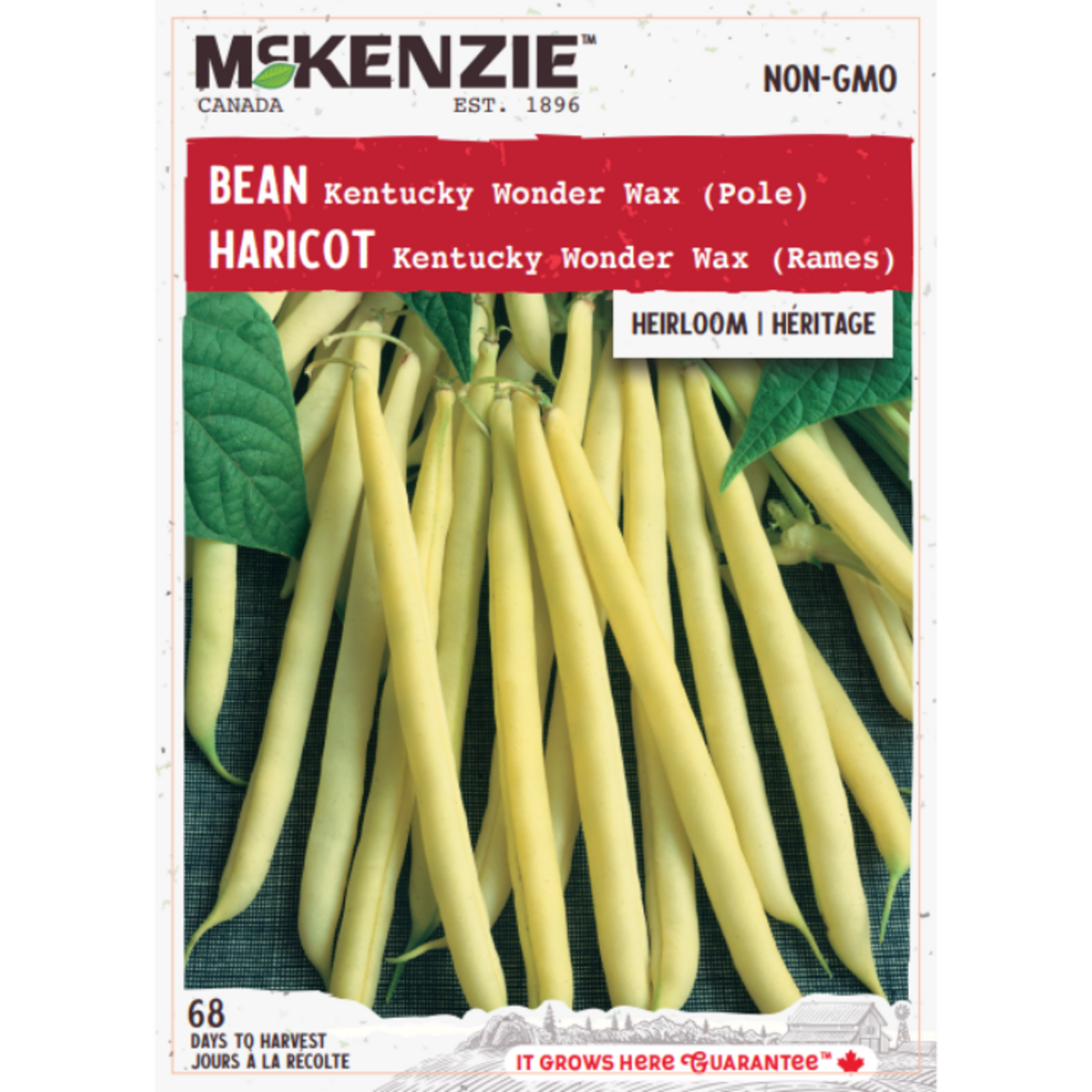 MK 2.49 V Bean Kentucky Wonder Wax (Pole)