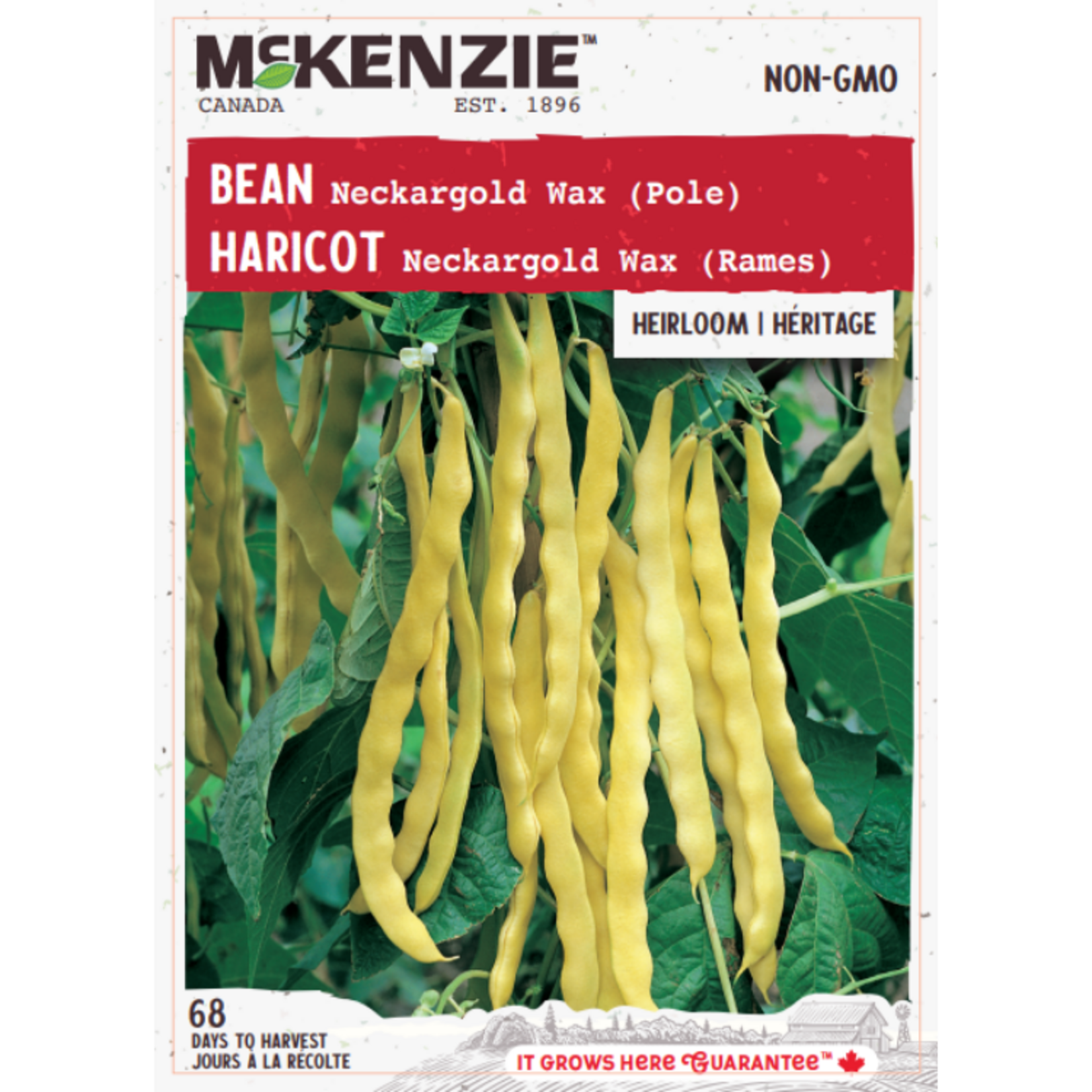 MK 2.79 V Bean Neckargold Wax (Pole)