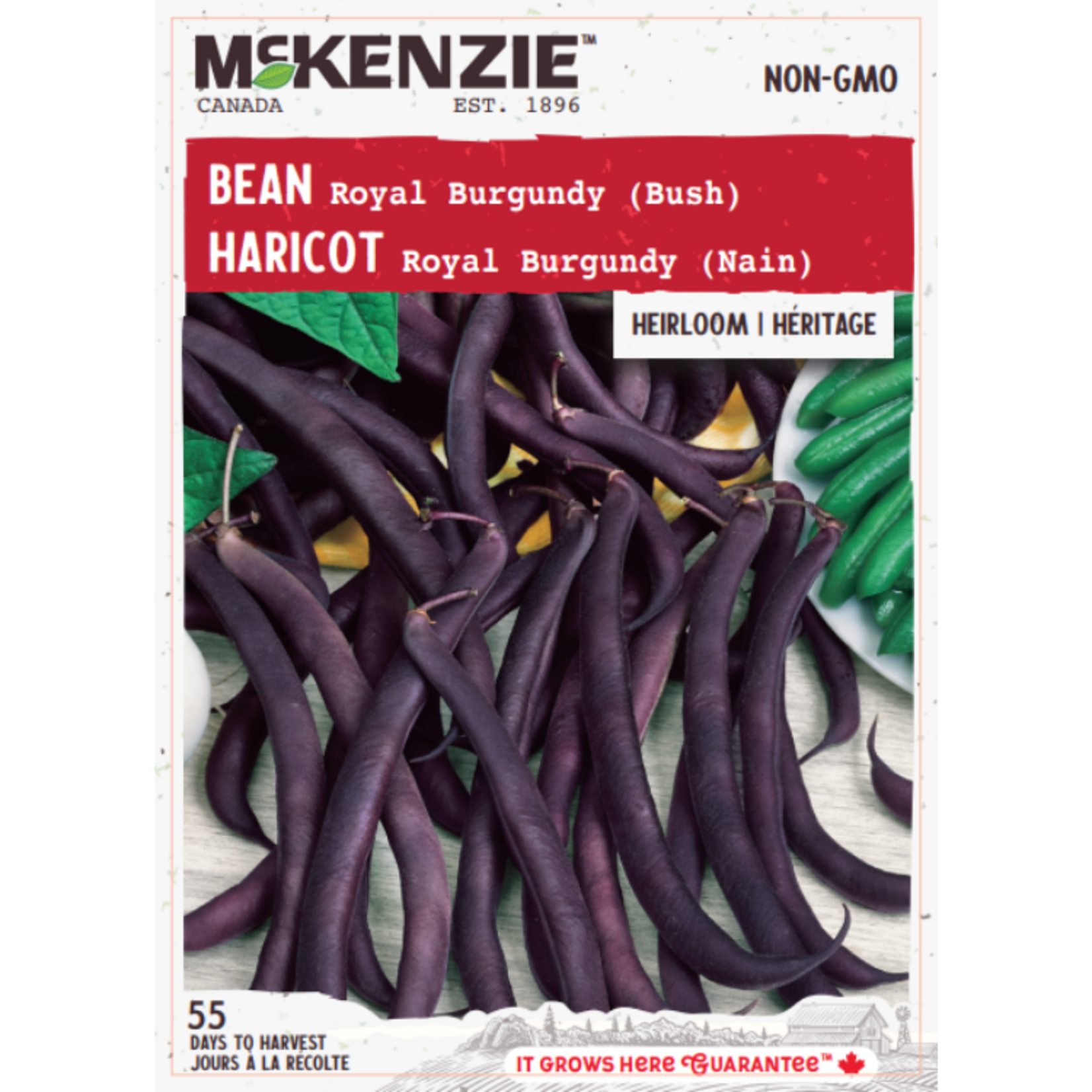 MK 2.79 V Bean Royal Burgundy (Bush)