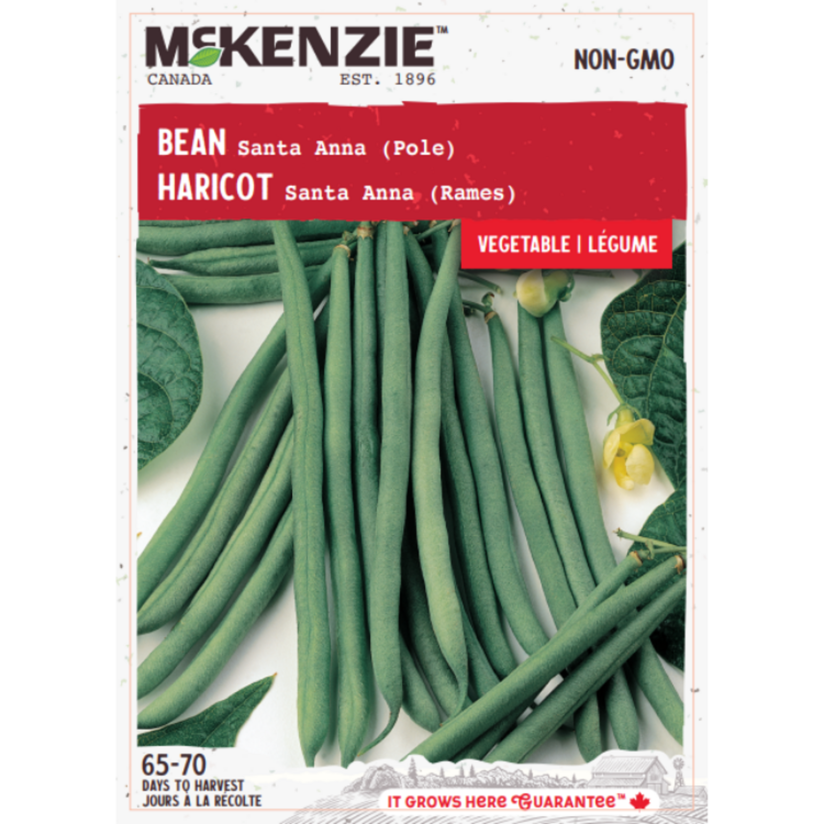 MK 2.49 V Bean Santa Anna (Pole)