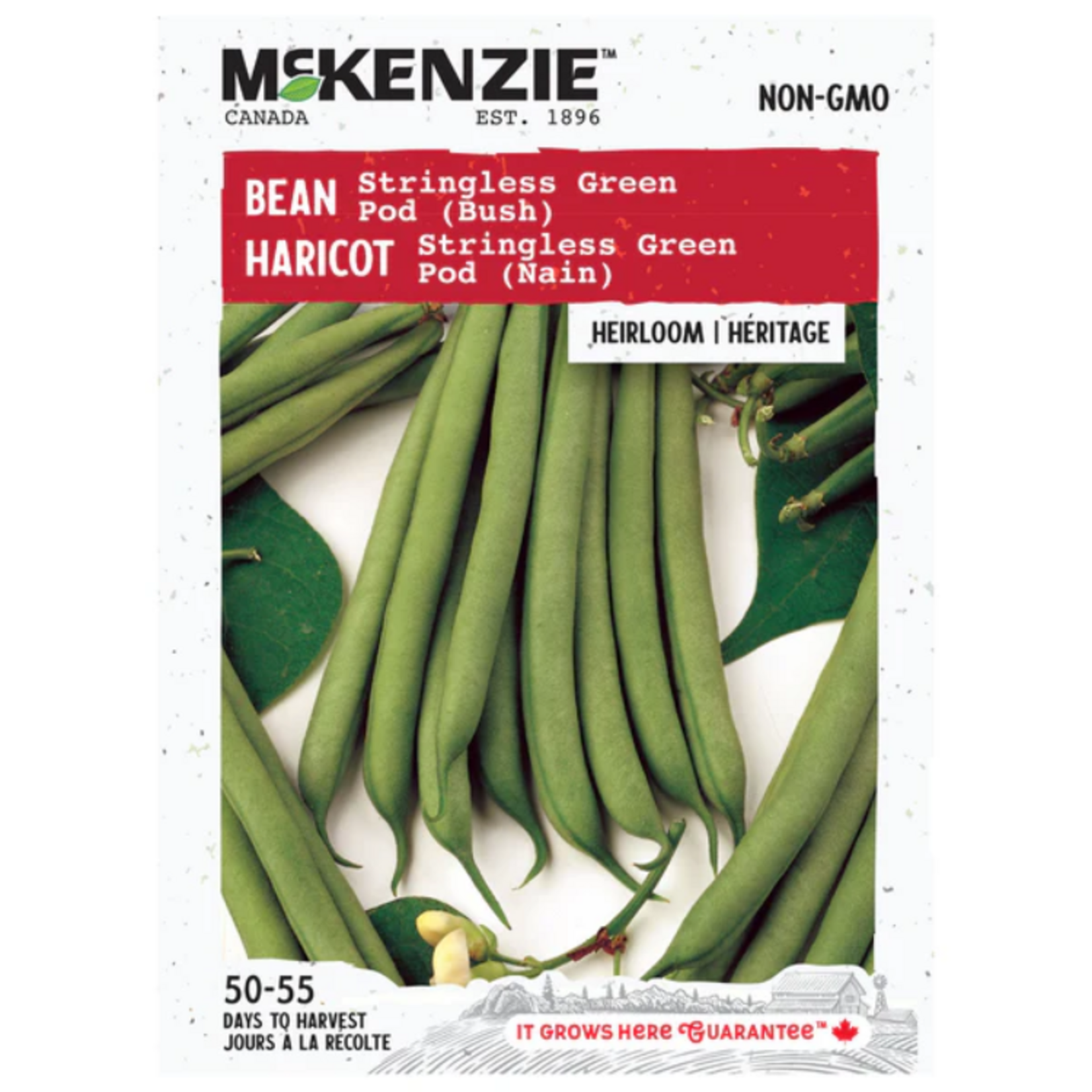 MK 2.79 V Bean Stringless Green Pod (Bush)