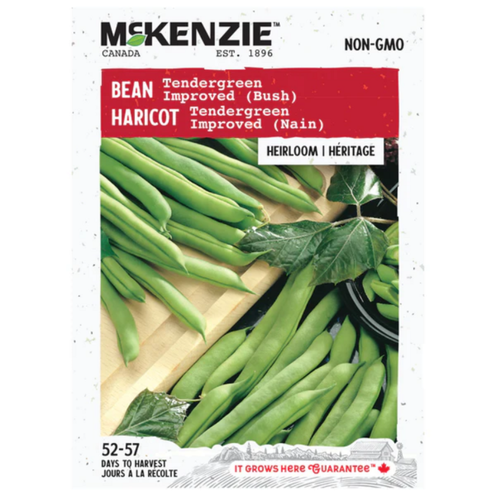 MK 2.79 V Bean Tendergreen Improved (Bush)