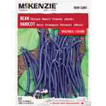 Bean Velour Dwarf French (Bush)