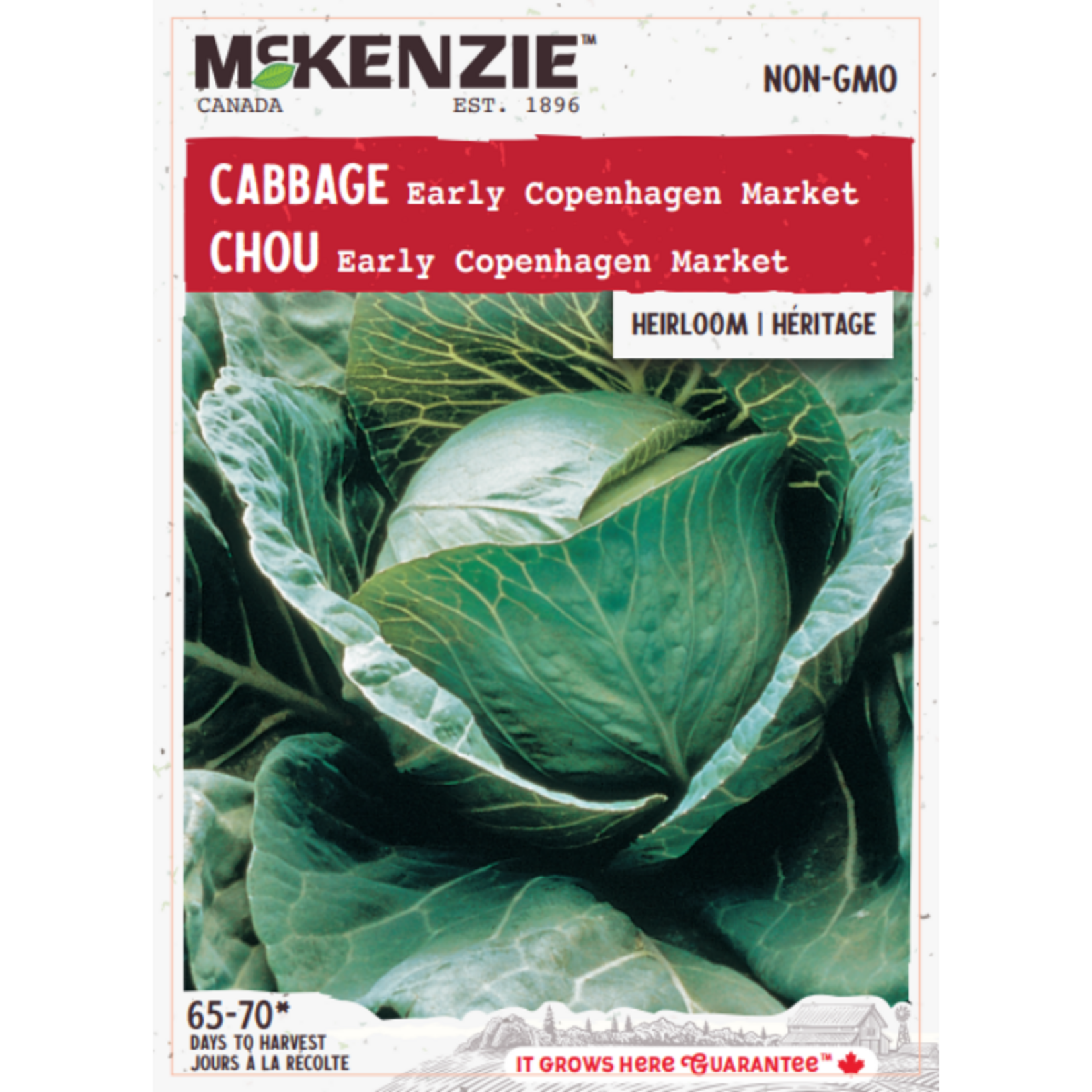 MK 2.49 V Cabbage Early Copenhagen Market