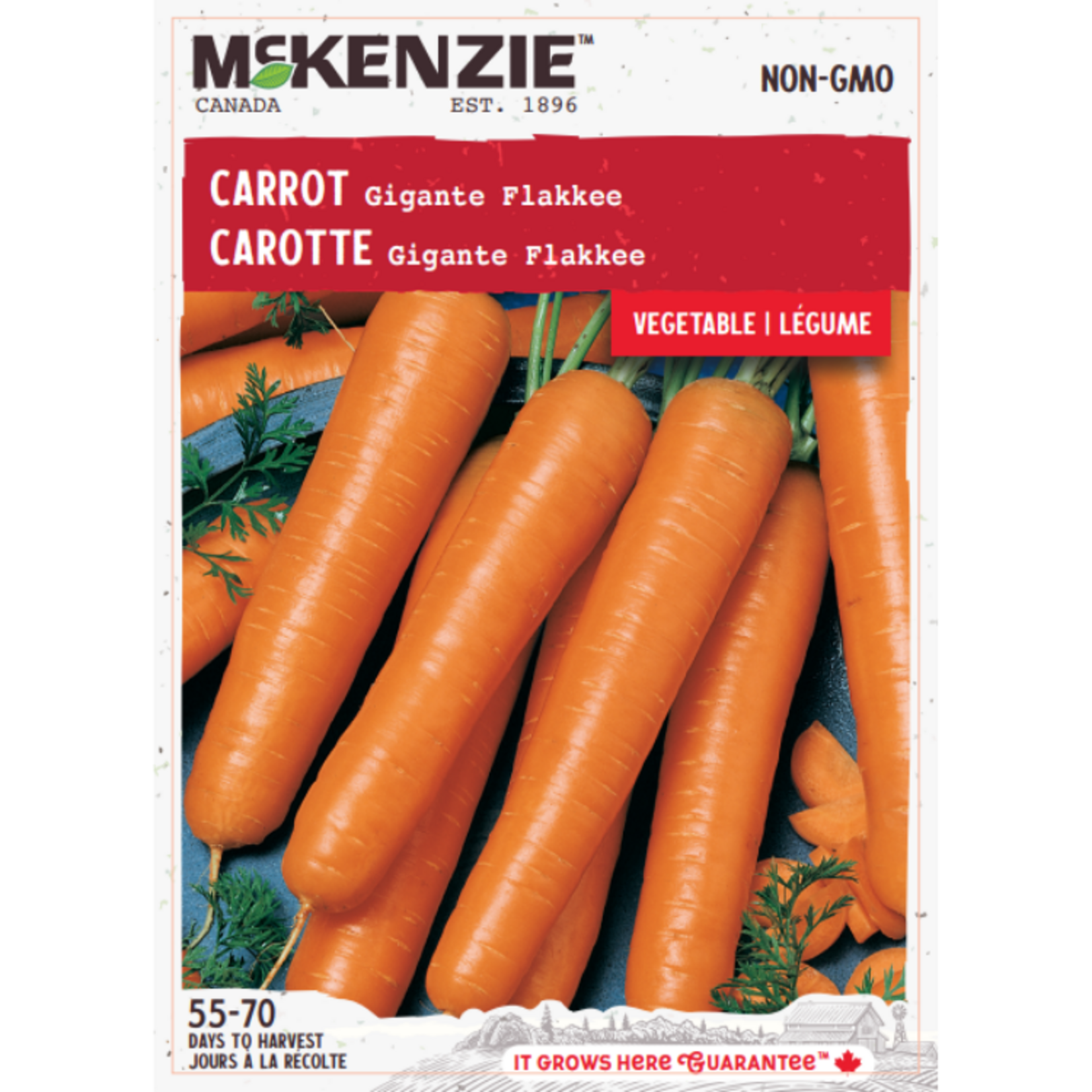 MK 2.49 V Carrot Gigante Flakkee