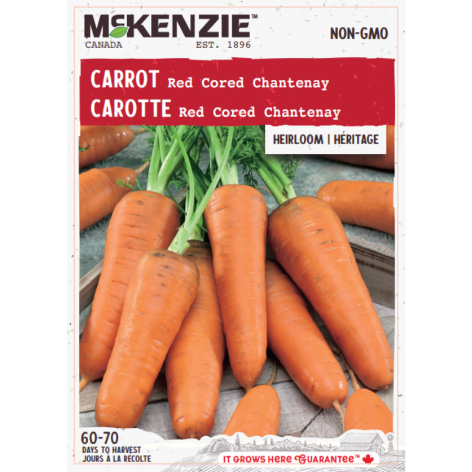 MK 2.79 V Carrot Red Cored Chantenay