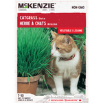 Catgrass Oats