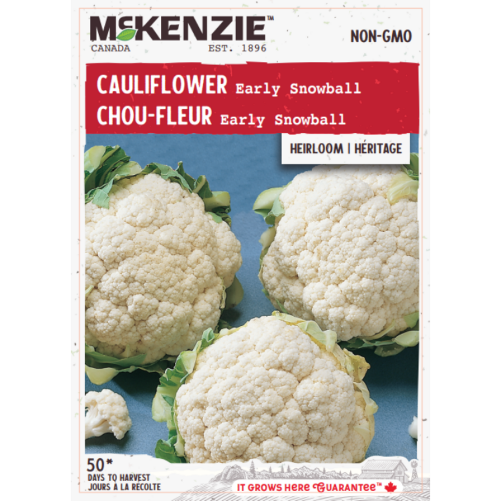 MK 2.49 V Cauliflower Early Snowball