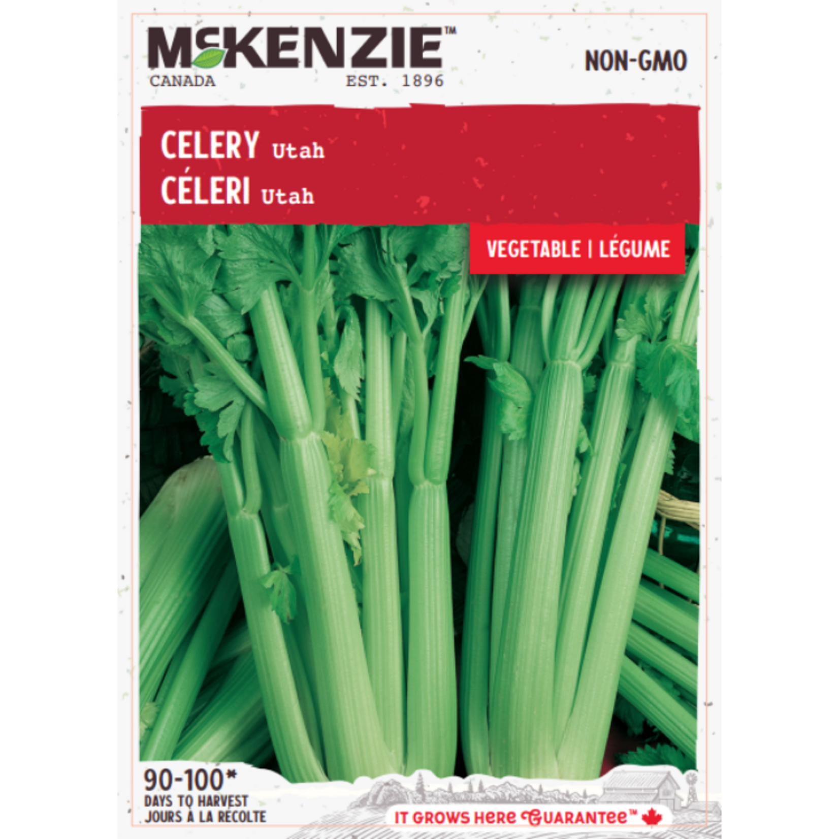 MK 2.49 V Celery Utah