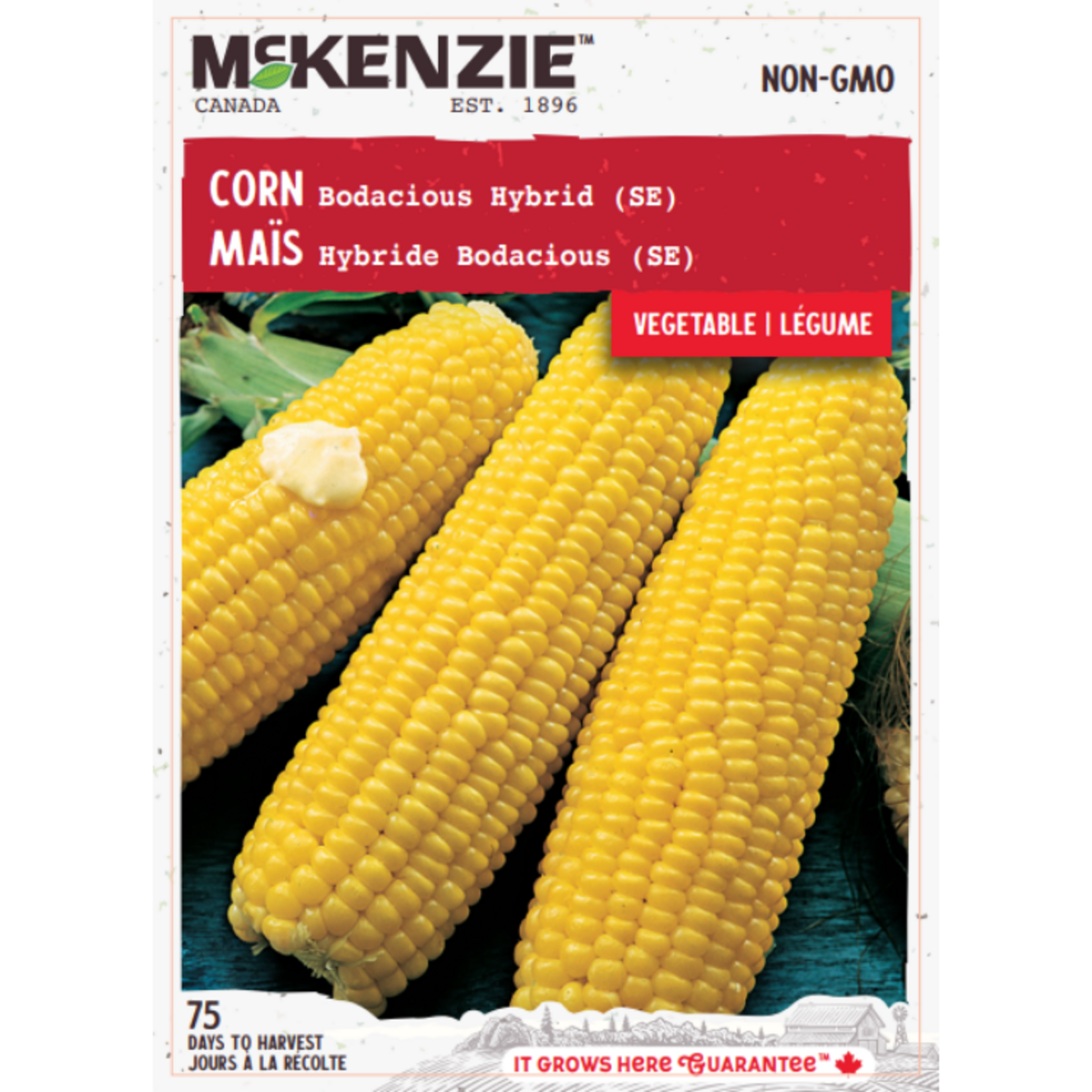 MK 3.49 V Corn Bodacious