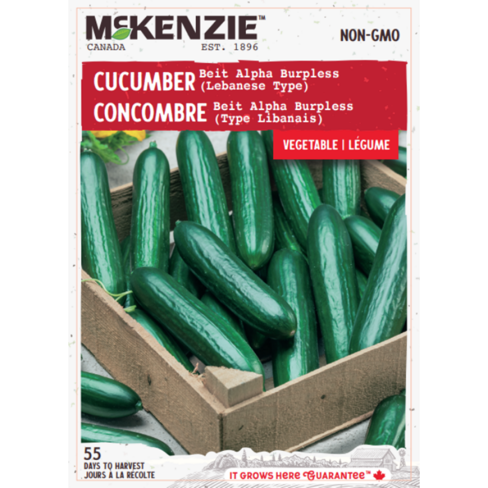 MK 2.49 V Cucumber Beit Alpha Burpless Lebanese Type