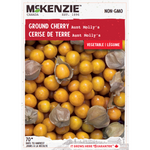 Ground Cherry Aunt Molly's
