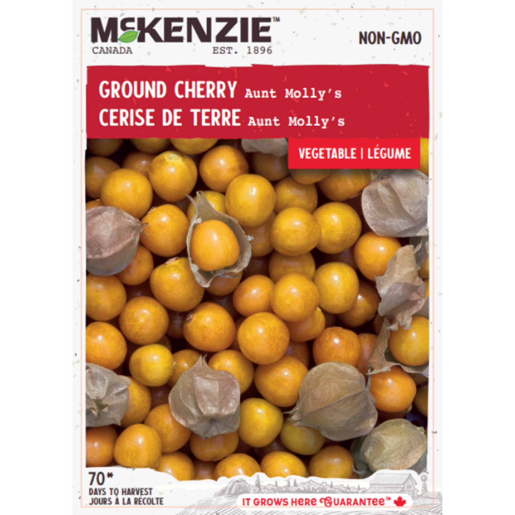 MK 2.49 V Ground Cherry Aunt Molly's