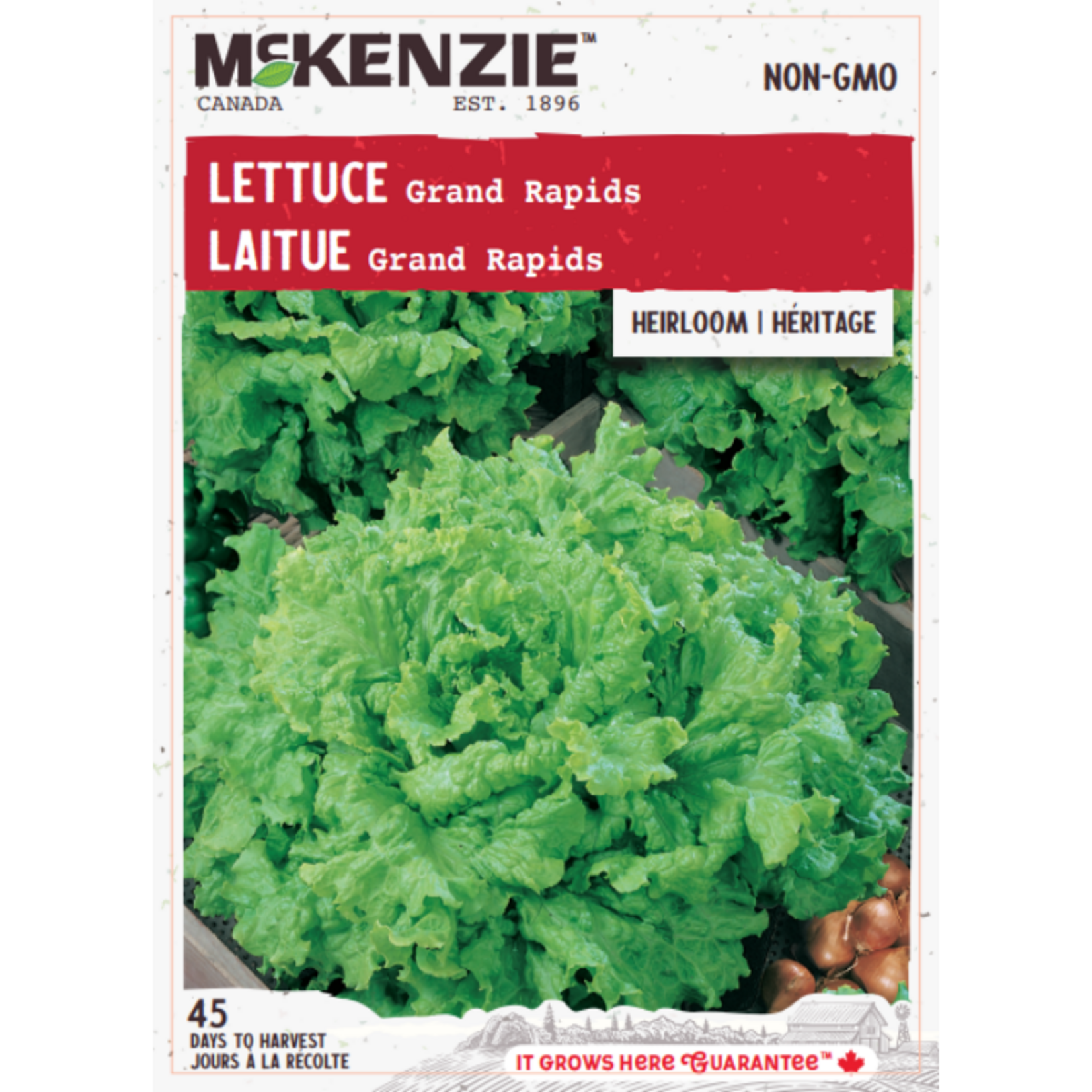 MK 2.49 V Lettuce Grand Rapids