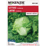 Lettuce Iceberg