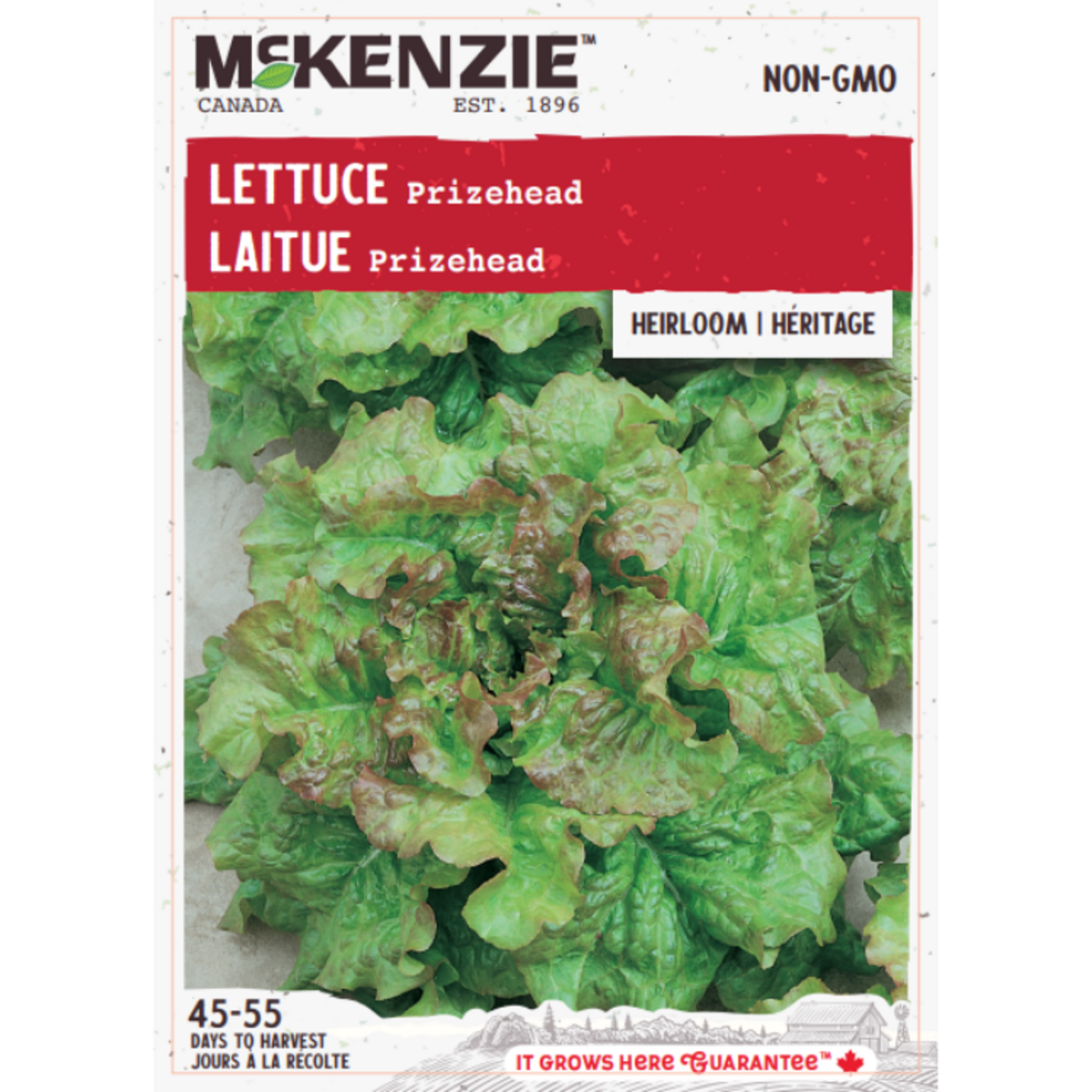 MK 2.49 V Lettuce Prizehead