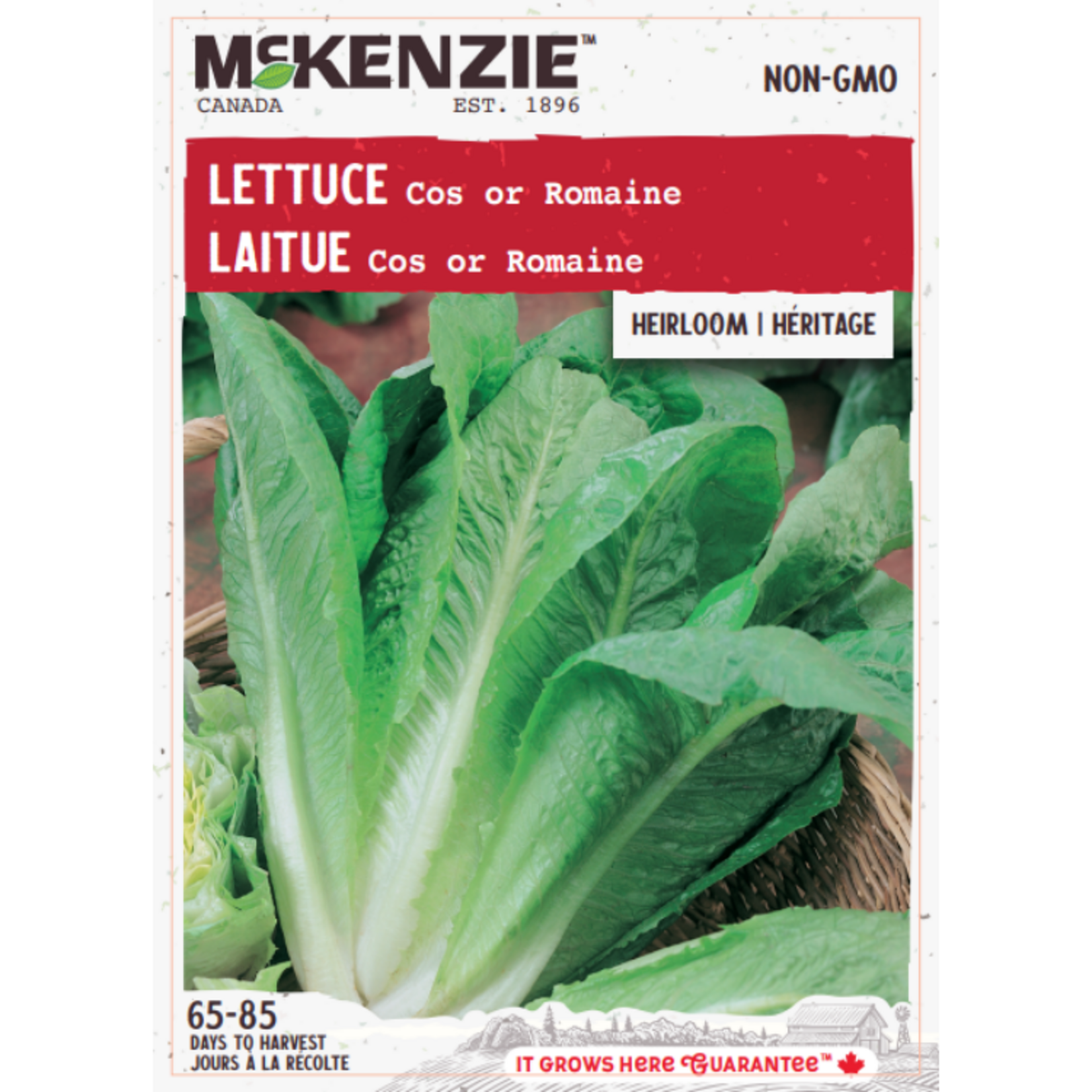 MK 2.49 V Lettuce Romaine