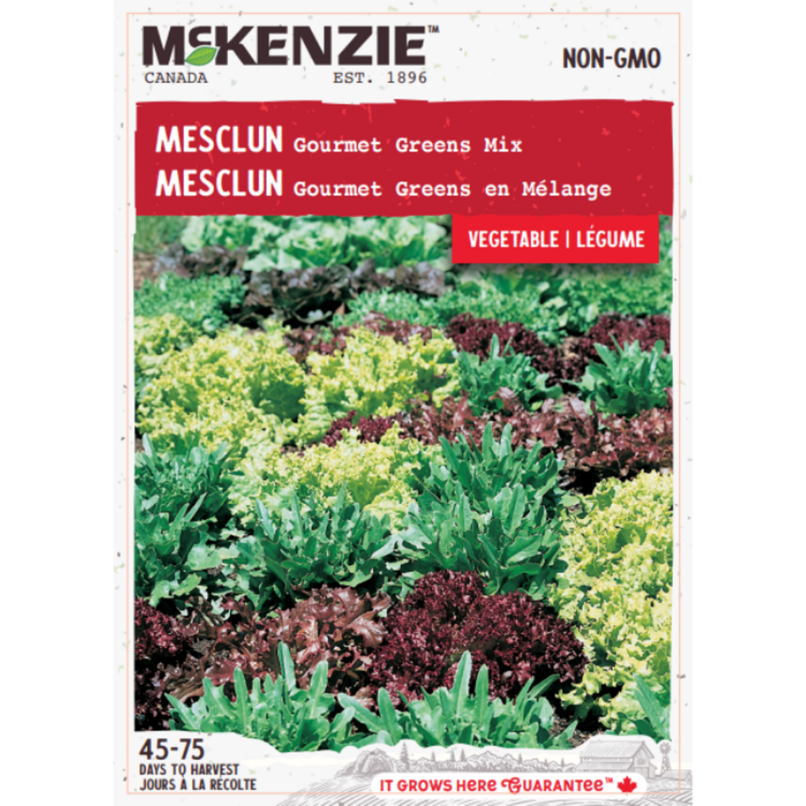 MK 2.79 V Mesclun Gourmet Greens Mix
