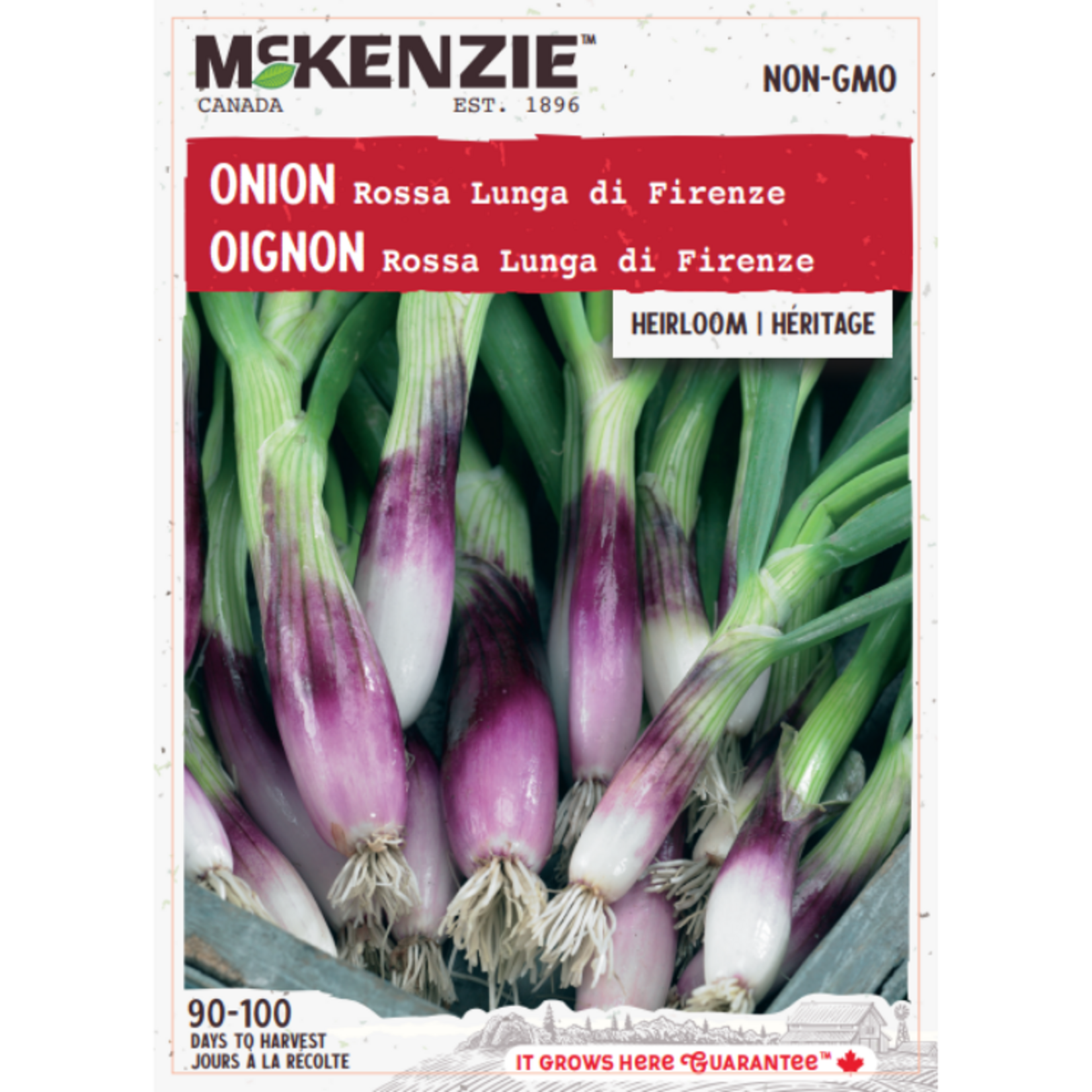 MK 2.49 V Onion Rossa Lunga di Firenze