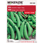 Pea Cascadia (Sugar Snap)