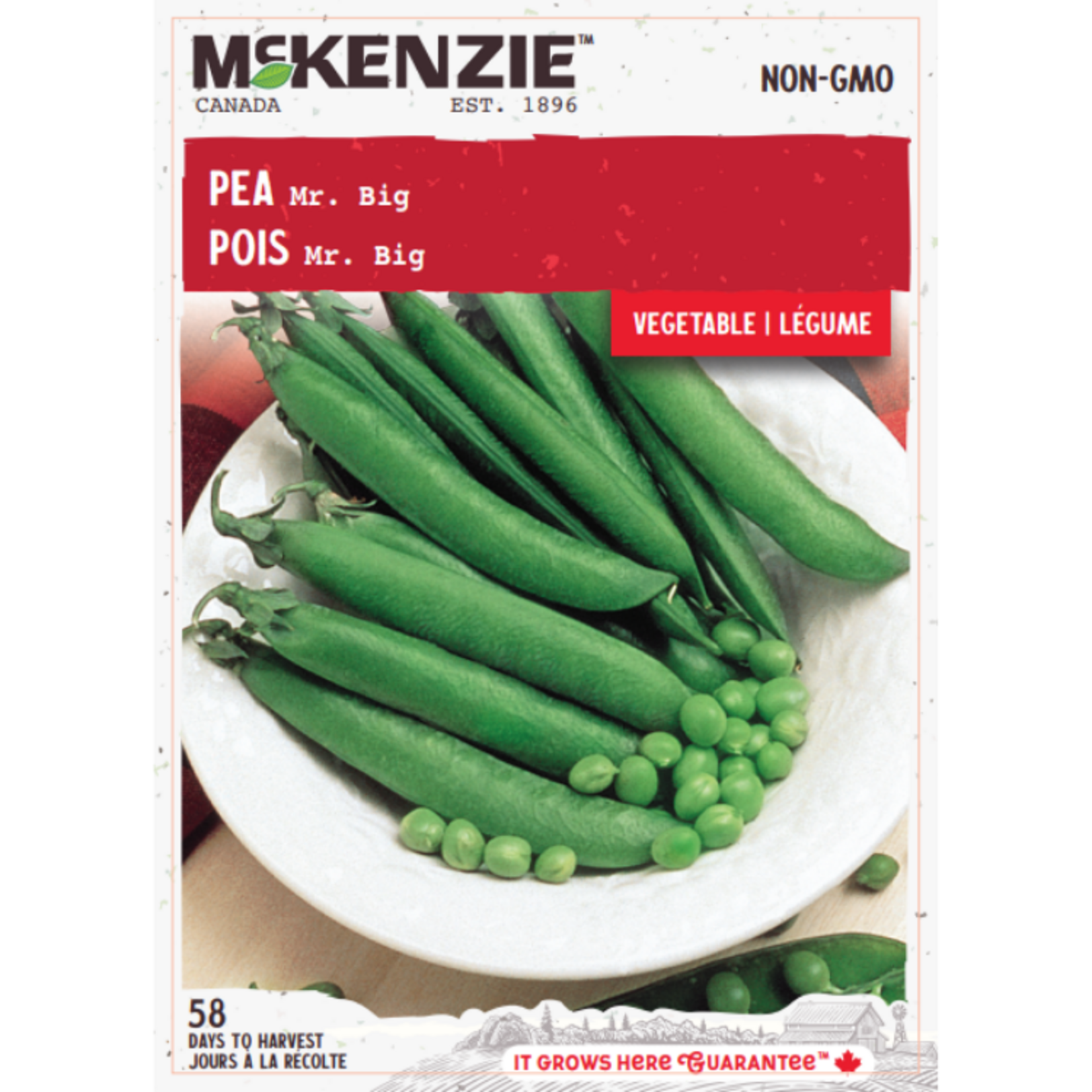 MK 2.49 V Pea Mr Big