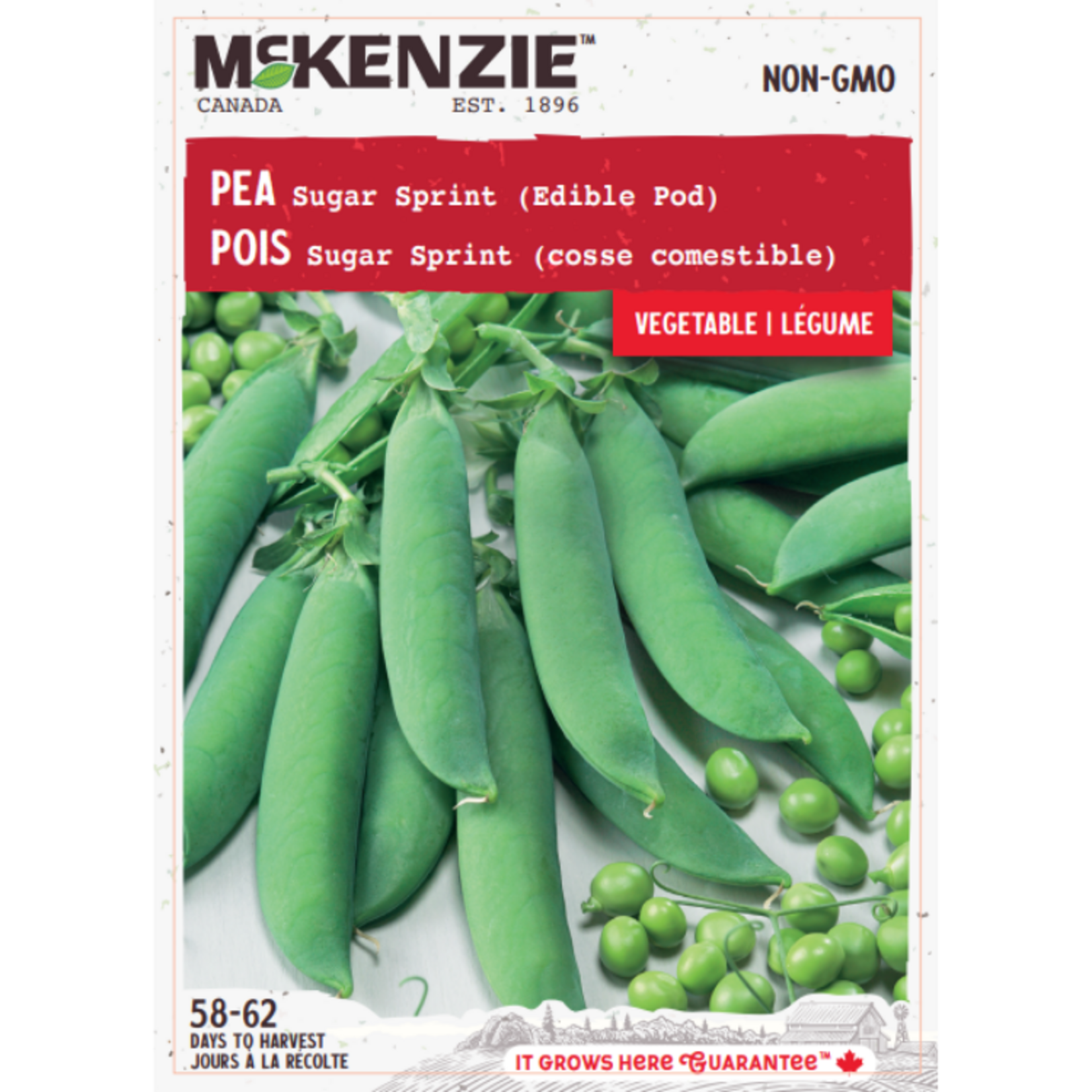 MK 2.79 V Pea Sugar Sprint Edible Pod