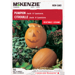 Pumpkin Jack O'Lantern