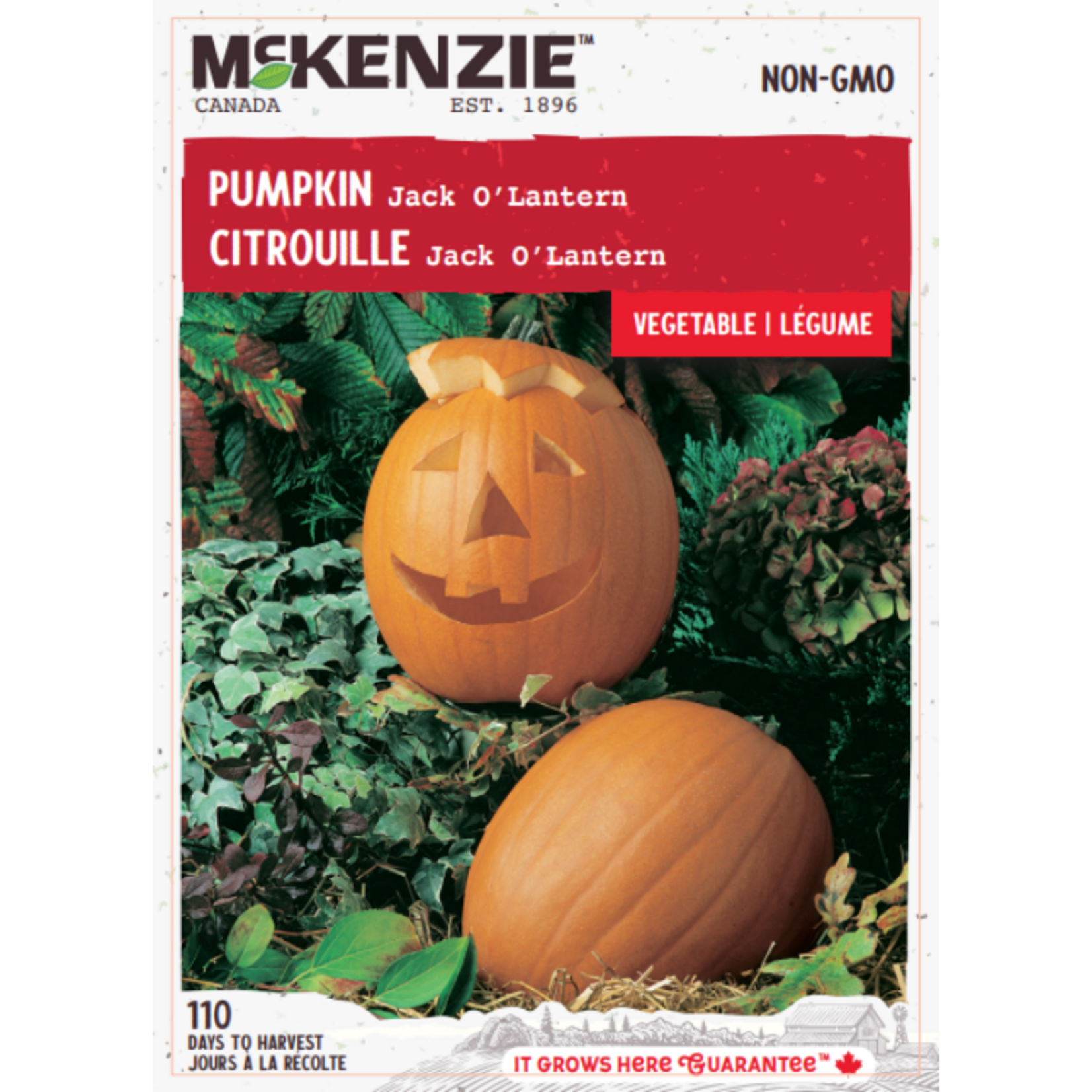 MK 2.49 V Pumpkin Jack O'Lantern