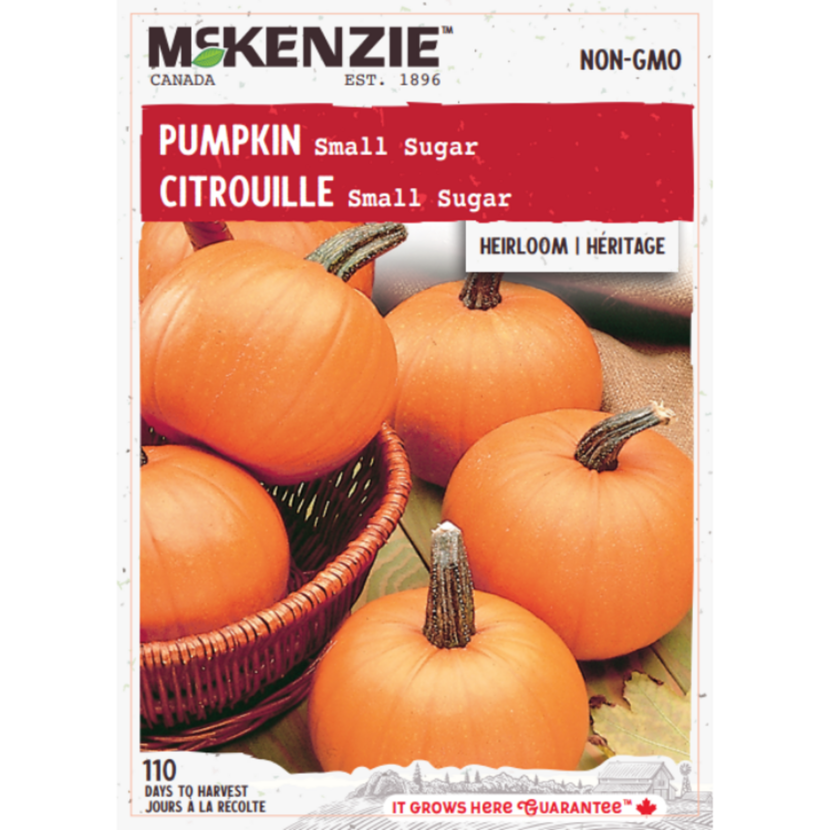 MK 2.79 V Pumpkin Small Sugar