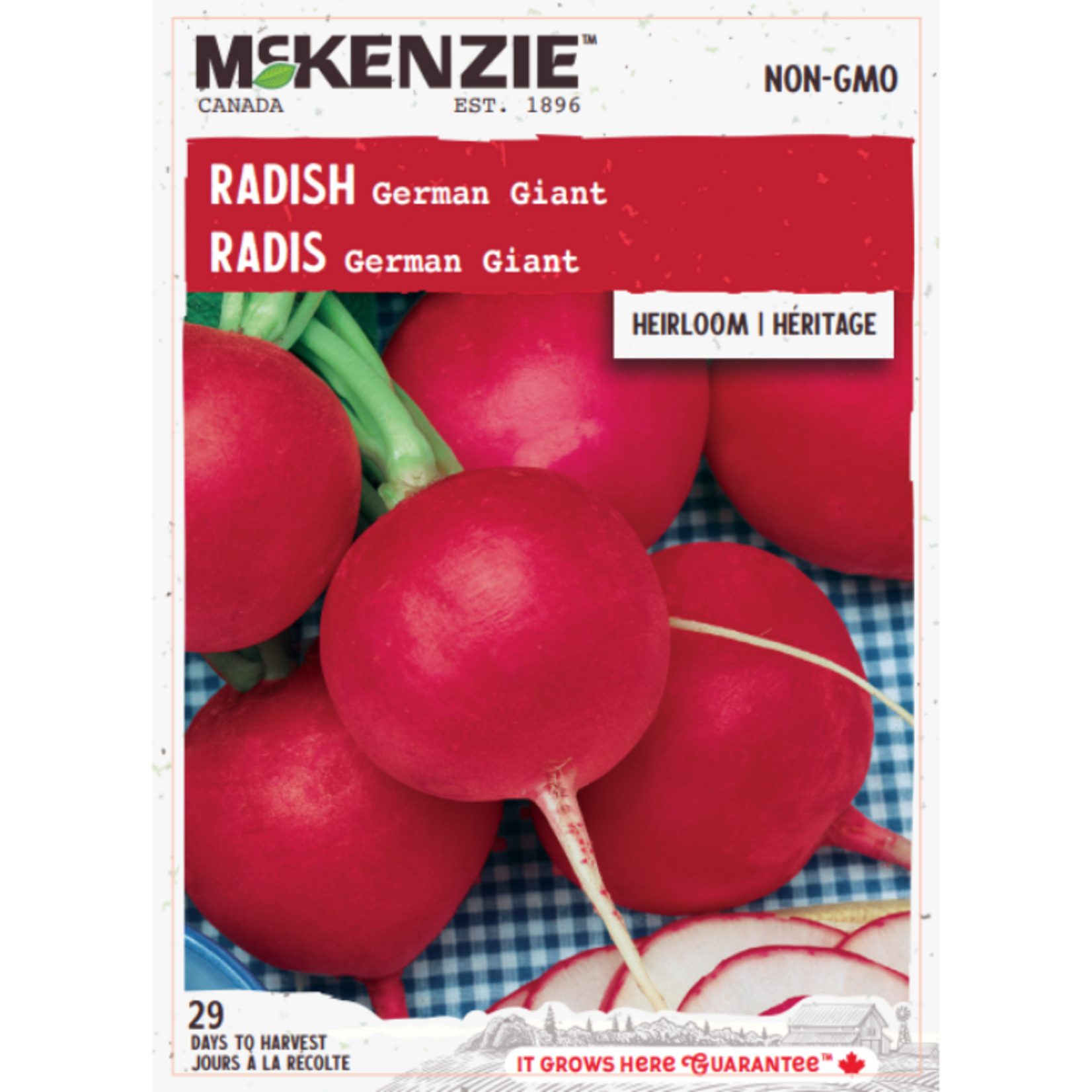 MK 2.79 V Radish German Giant