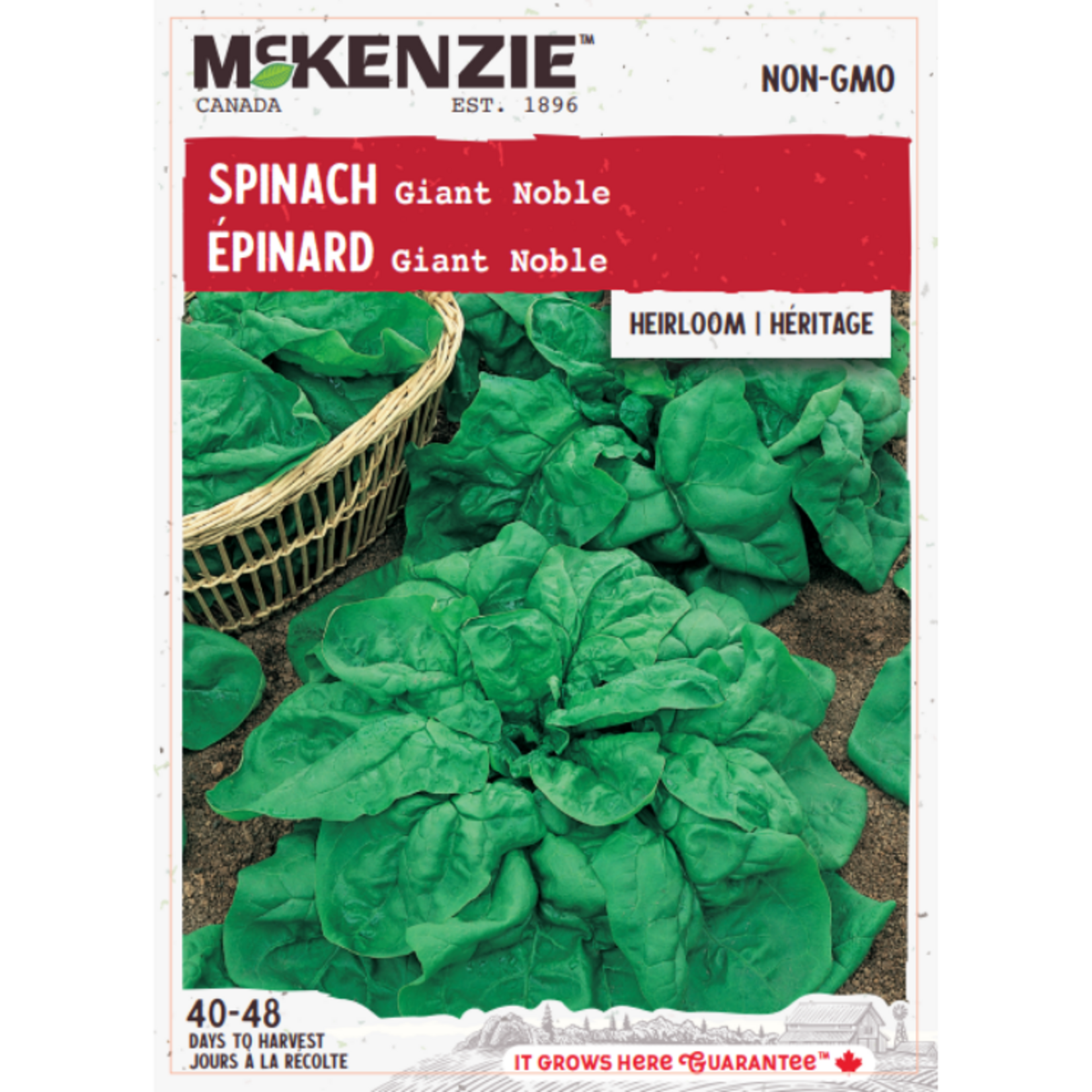 MK 2.49 V Spinach Giant Noble