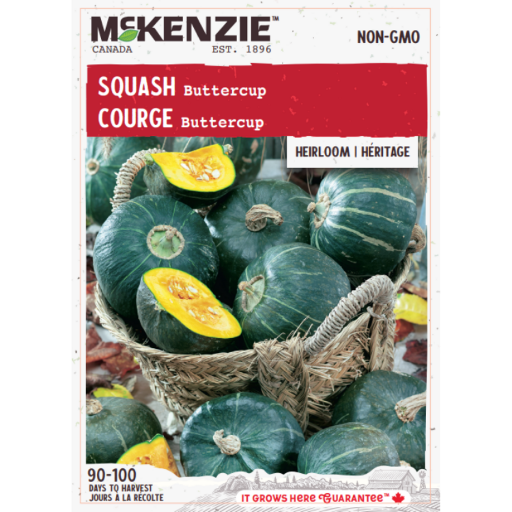 MK 2.79 V Squash Buttercup