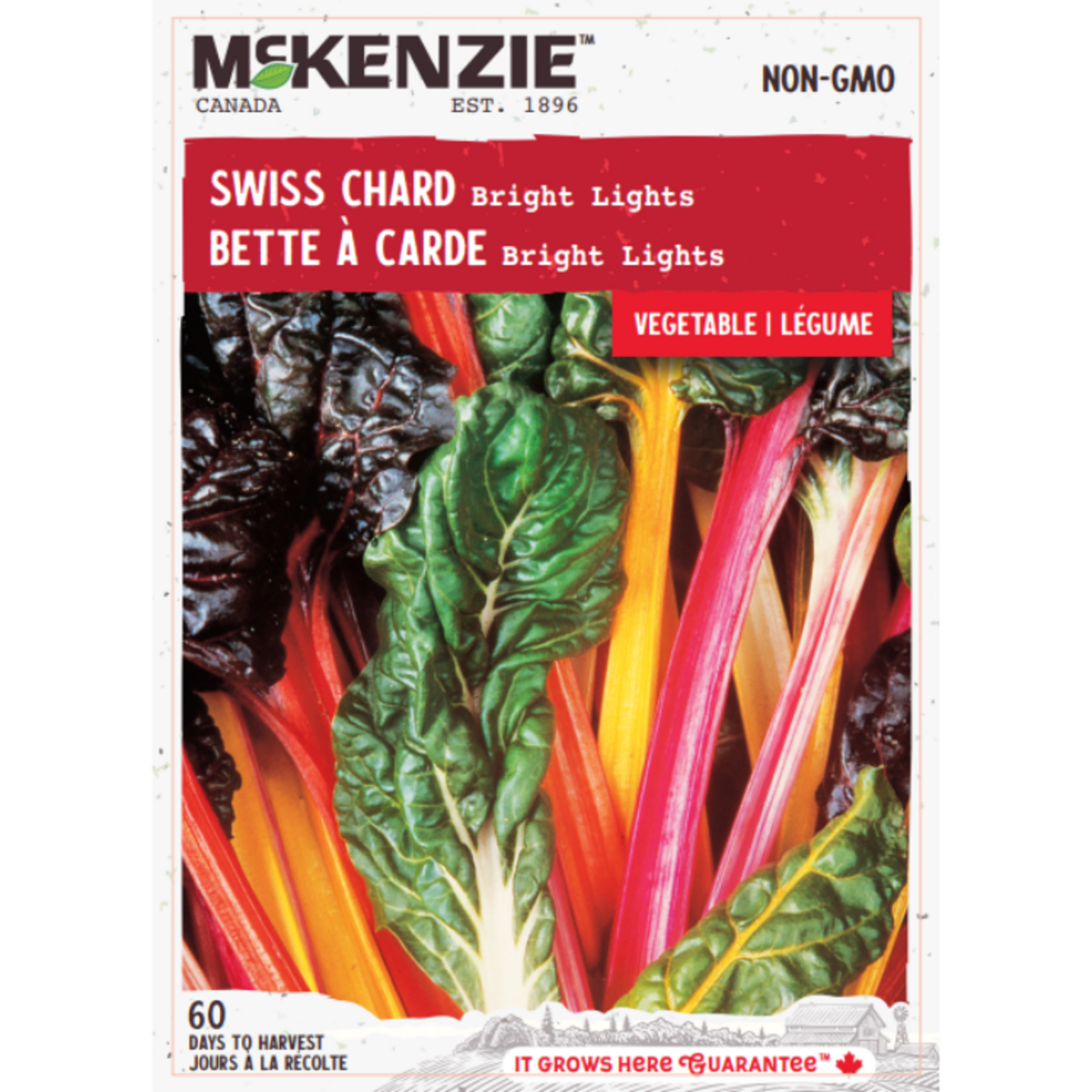MK 3.49 V Swiss Chard Bright Lights