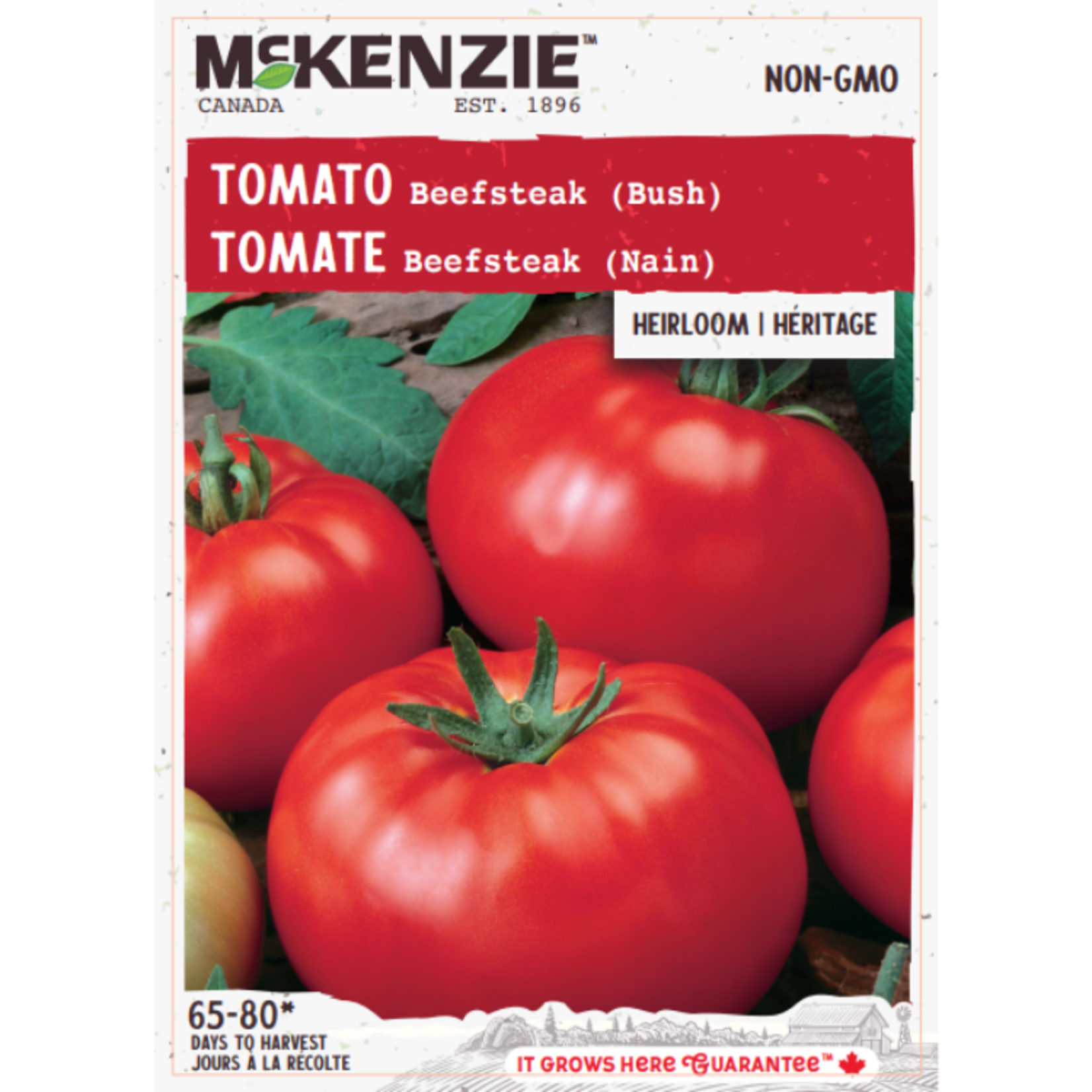 MK 2.49 V Tomato Beefsteak Bush