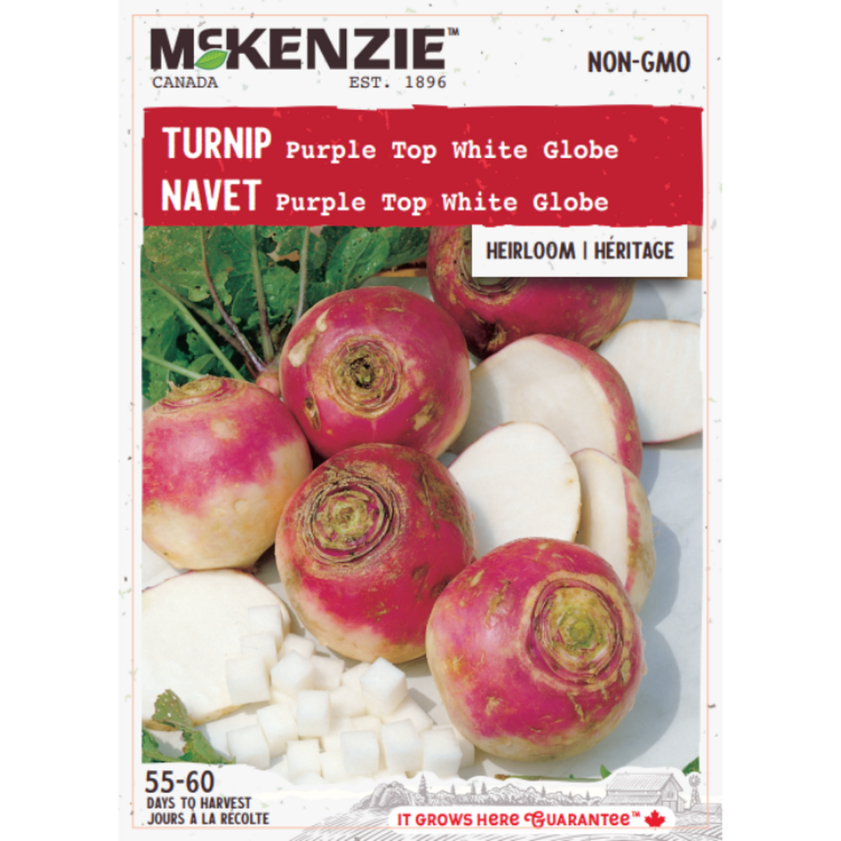 MK 2.49 V Turnip Purple Top White Globe