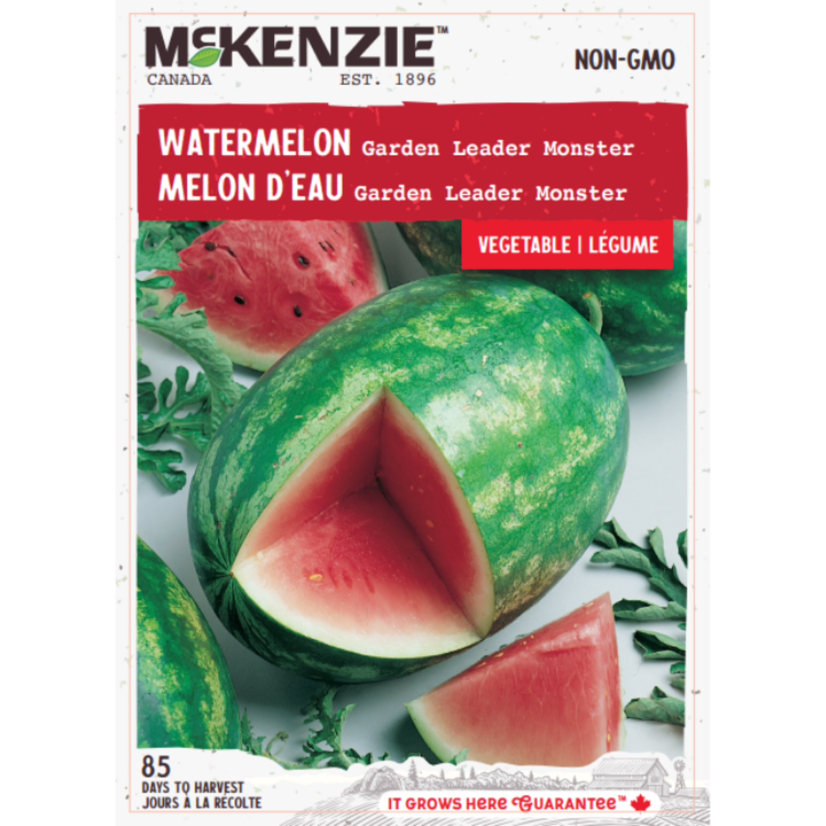 MK 2.79 V Watermelon Garden Leader Monster