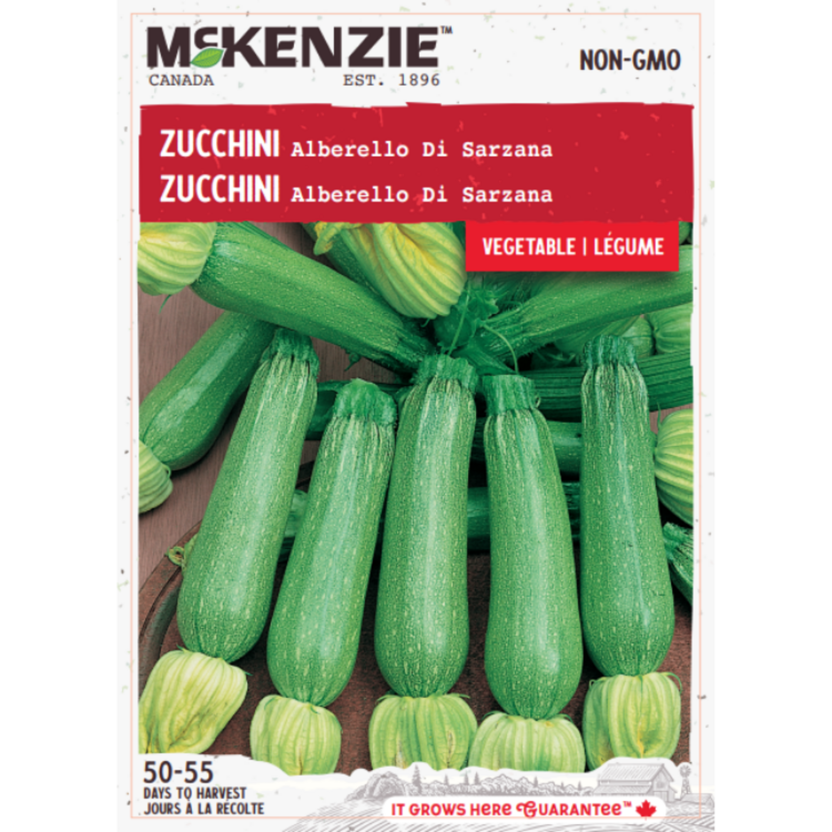 MK 2.49 V Zucchini Alberello Di Sarzana