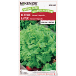 Lettuce Grand Rapids Value Size