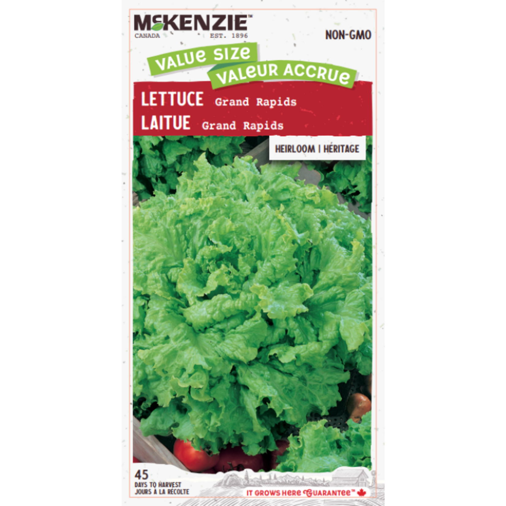 MK 3.99 VS Lettuce Grand Rapids Value Size